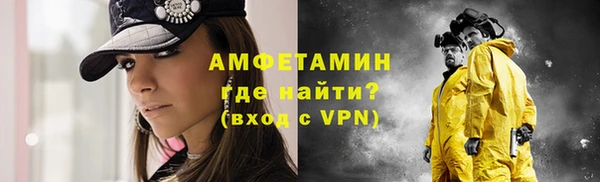 твердый Лагань