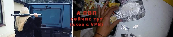 твердый Лагань
