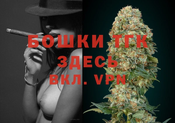 твердый Лагань