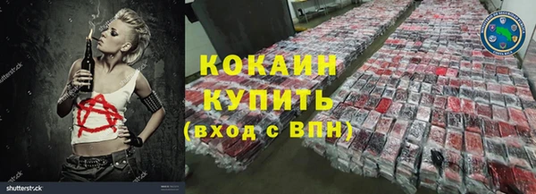 твердый Лагань