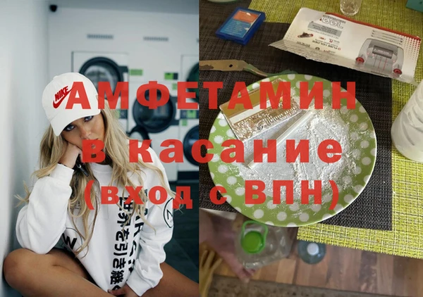 твердый Лагань