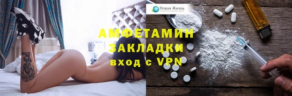твердый Лагань