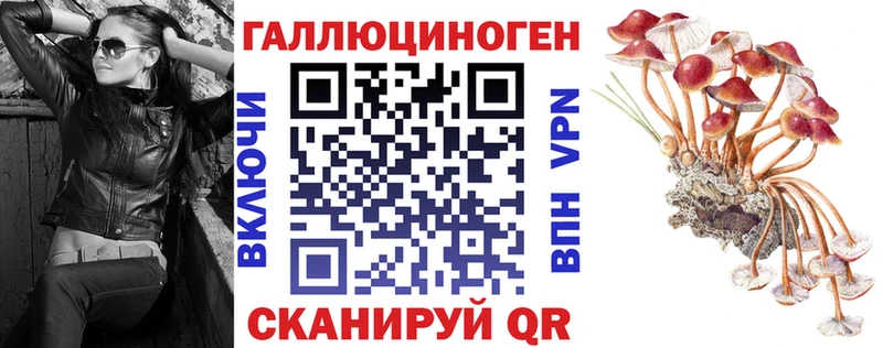 Купить где  Ядрин  Галлюциногенные грибы MAGIC MUSHROOMS 